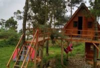 camping papandayan garut camping papandayan garut