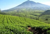 hotel di garut dengan pemandangan indah hotel di garut dengan pemandangan indah