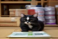 AI Image: jual cat tembok kiloan terdekat dari lokasi saya yang terpercaya illustration